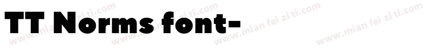 TT Norms font字体转换